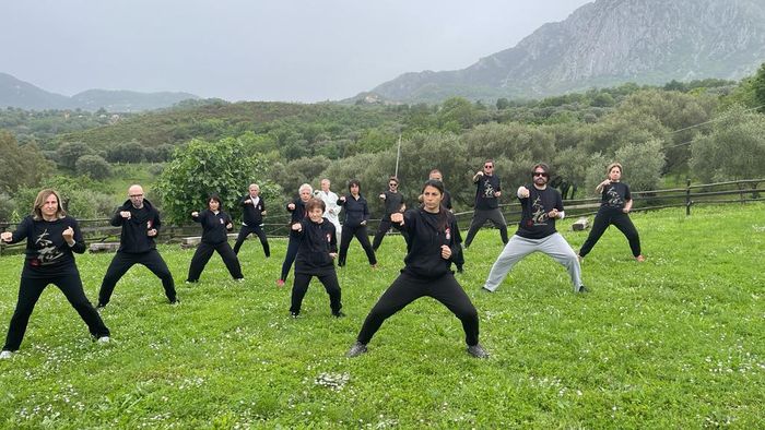 tai chi seminariotai chi seminario