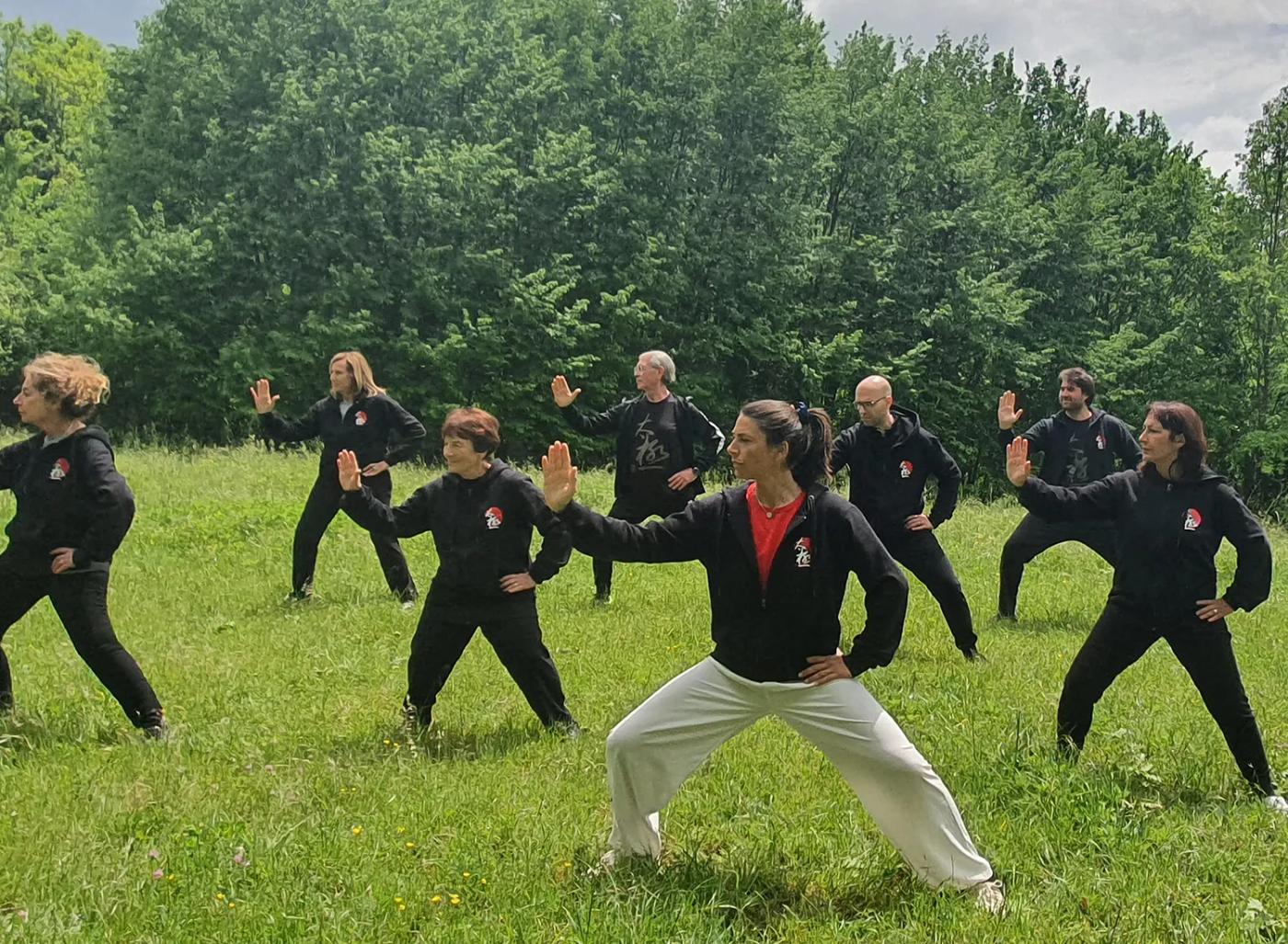 Un gruppo di allievi pratica Taiji Quan in un prato.