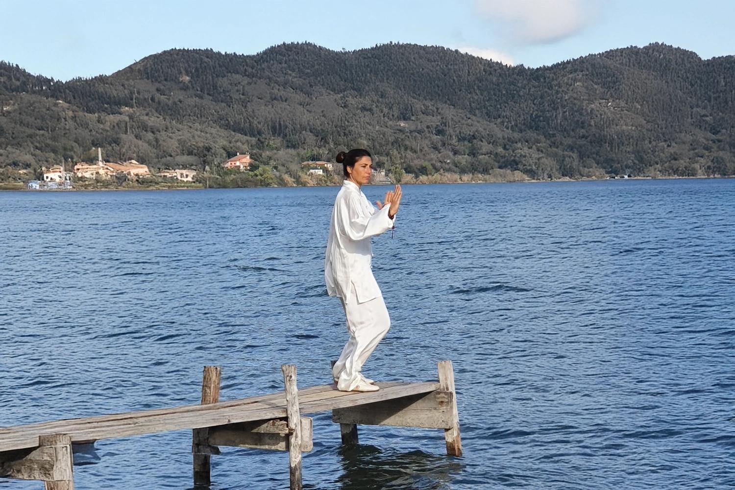Liu Feng Si Bi – The Six Seals and Four Closures in Taiji Quan