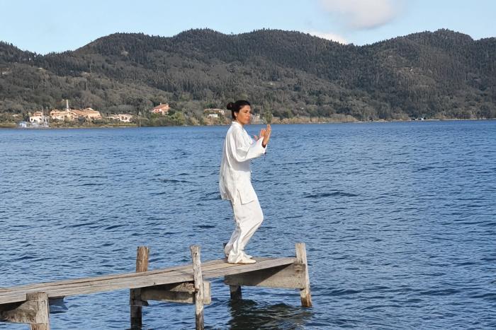 Liu Feng Si Bi – I Sei Sigilli e Quattro Chiusure nel Taiji Quan