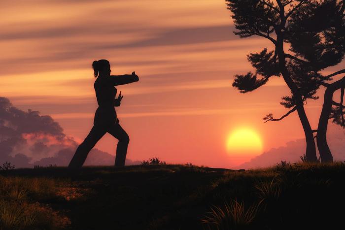 Taiji Quan: arte marziale e meditazione in movimento