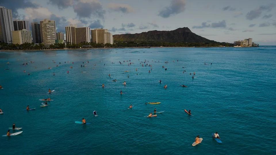Waikiki Shore Beach Service cover image