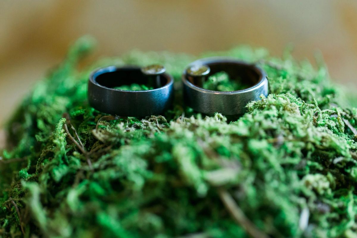 Two dark metal wedding bands resting side by side on a bed of green moss