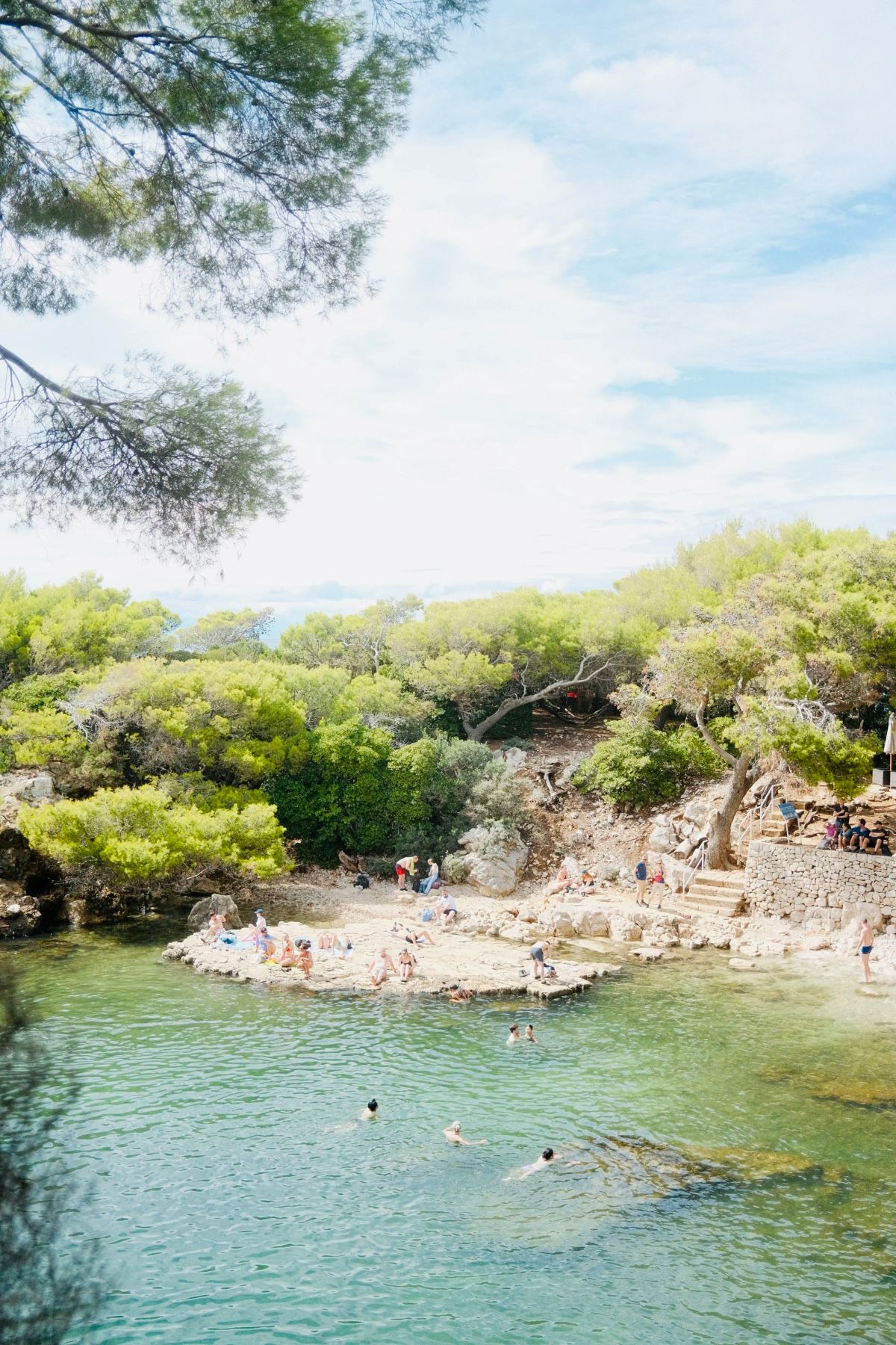 Swimmers and sunbathers at a turquoise cove fringed with pine trees on Lokrum island