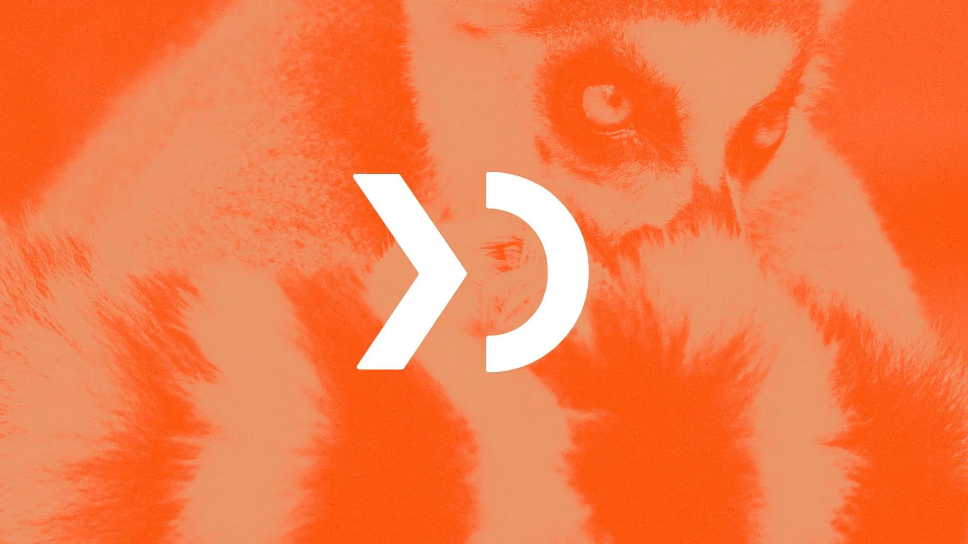 Ikayzo logo mark, a white chevron and half circle, over an orange-tinted photo of a ring-tailed lemur
