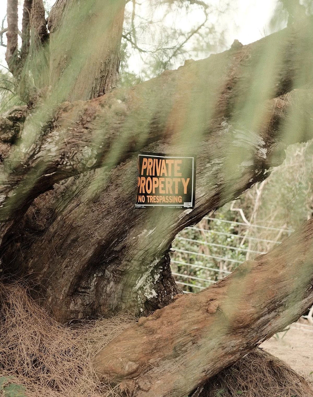 Private property no trespassing sign nailed to a gnarled tree beside a wire fence