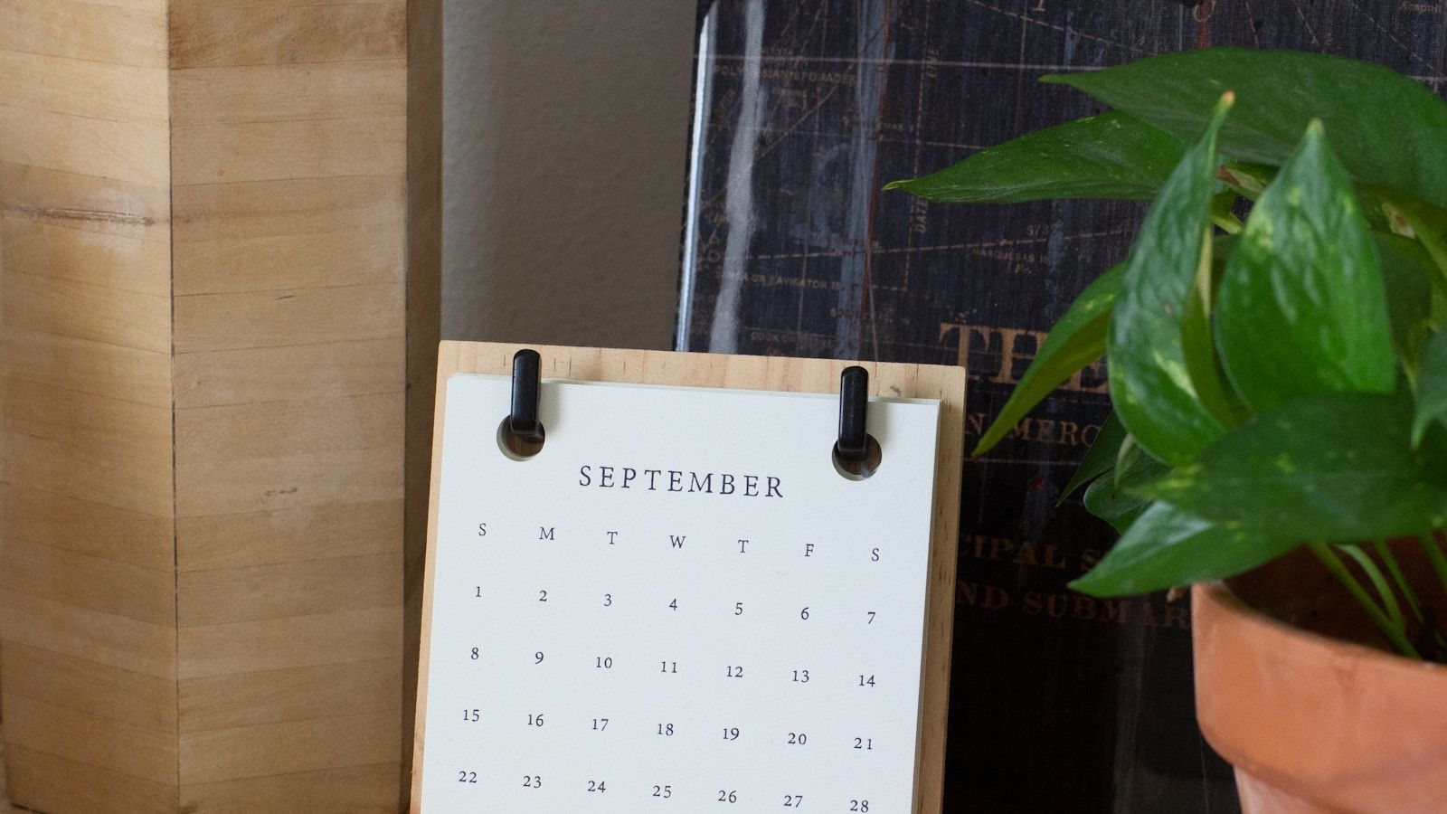 meal plan generator