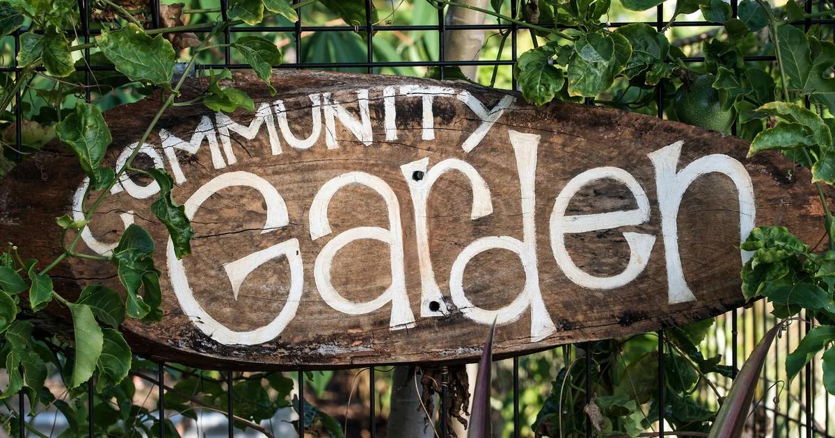 Run a Community Garden Membership Campaign That Fills Plots Fast