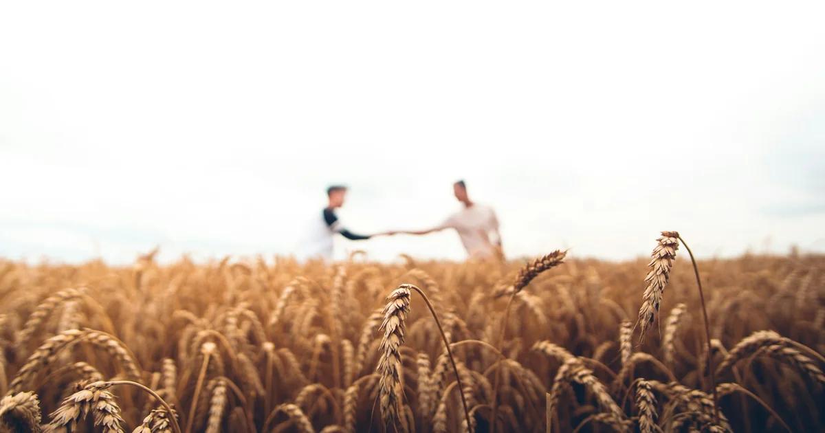 Plan Your Agriculture Field Day Campaign in Minutes