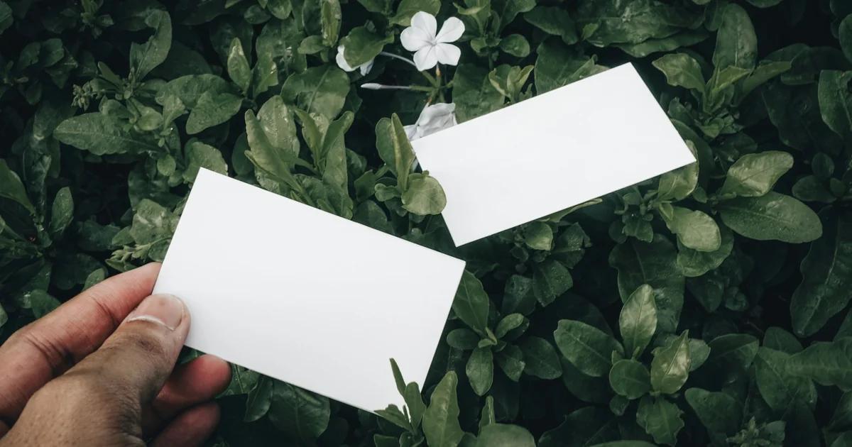Business Card Print Setup and Proof Guide