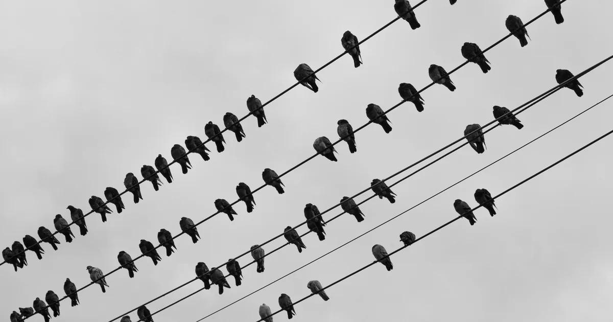 Build Your Conference Early Bird Campaign in Minutes