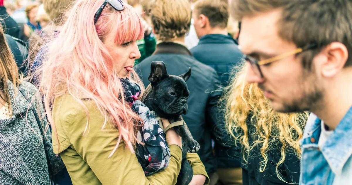 Plan Your Pet Adoption Event Campaign in Minutes