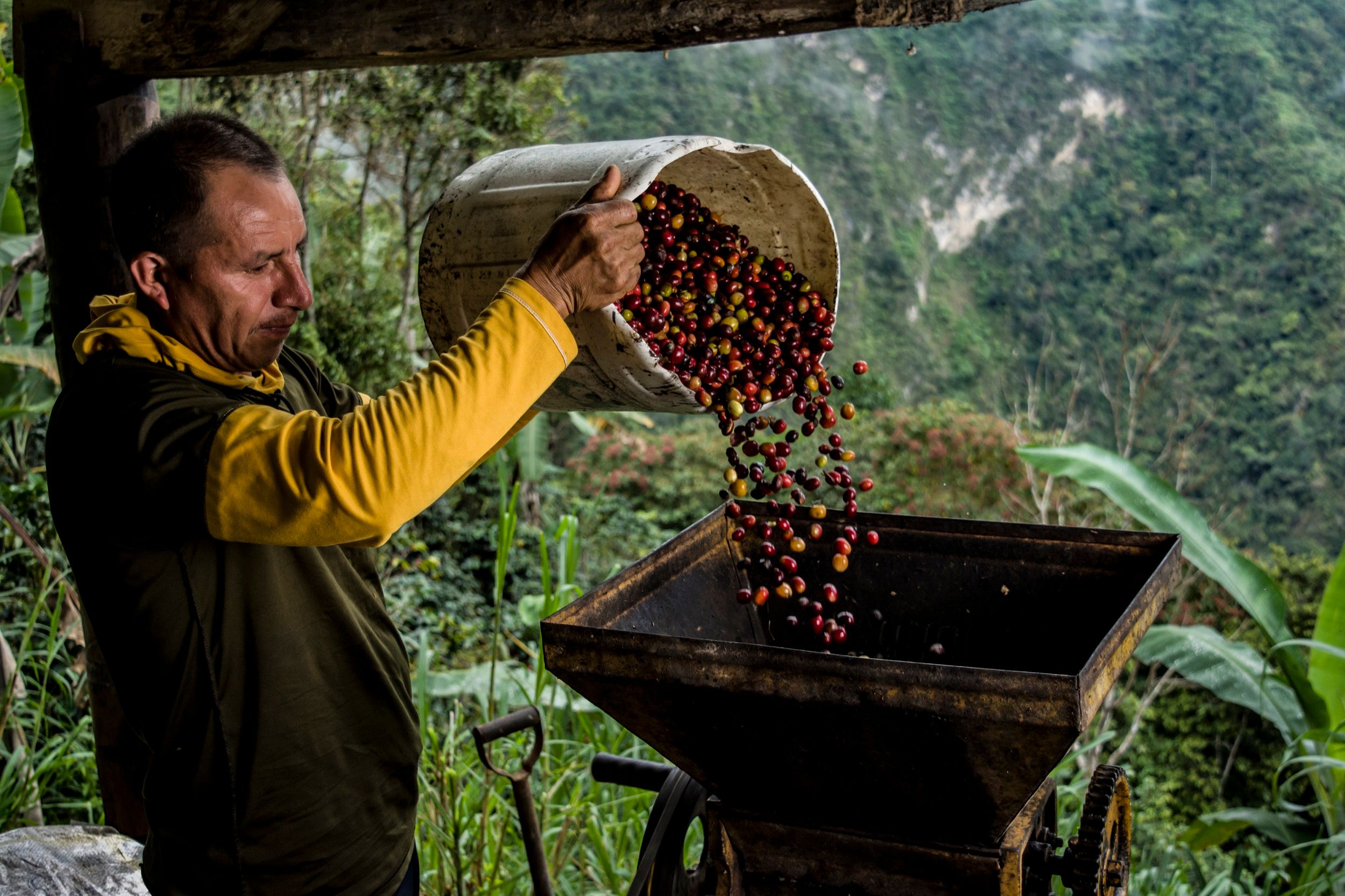 ¿Qué podemos aprender del vino para transformar la cultura del café?