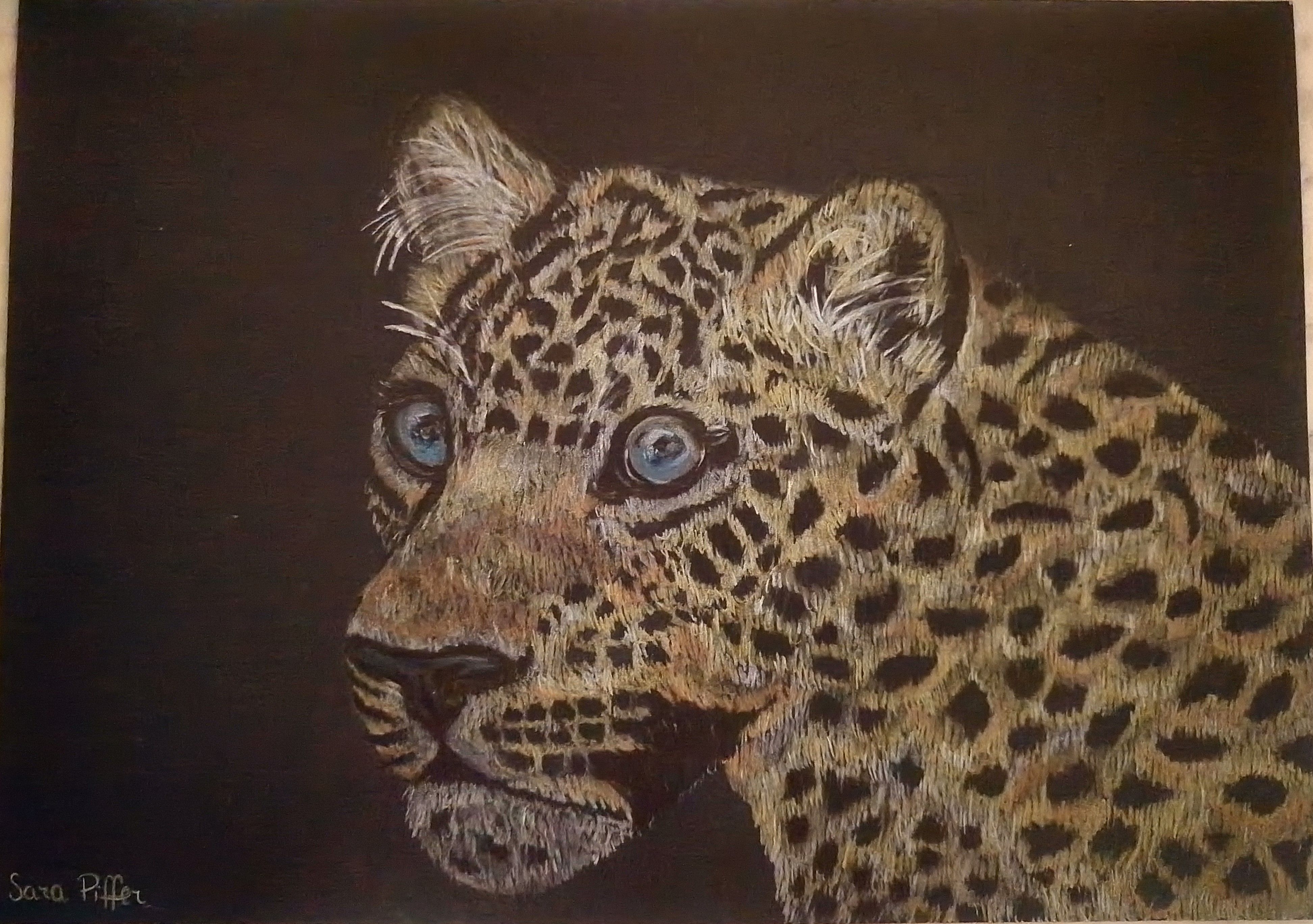Leopardo