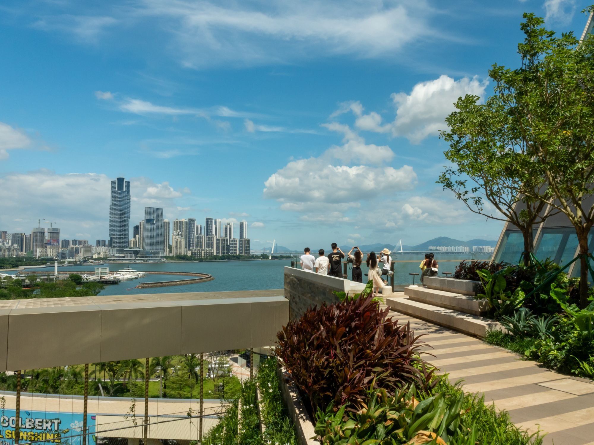A planted rooftop terrace overlooking the Shenzhen skyline