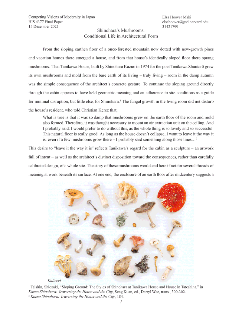 shinohara's mushrooms