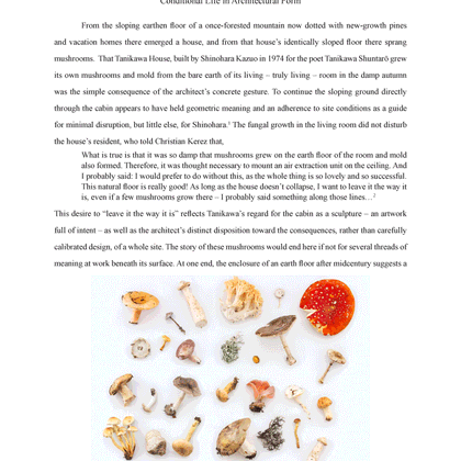 Shinohara's Mushrooms