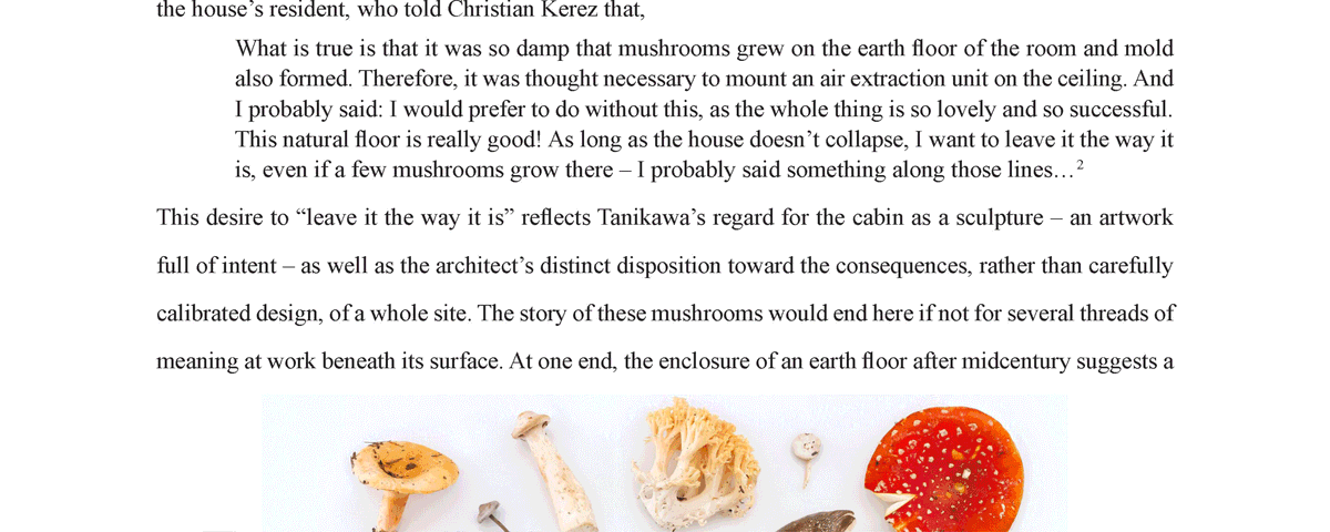 Shinohara's Mushrooms