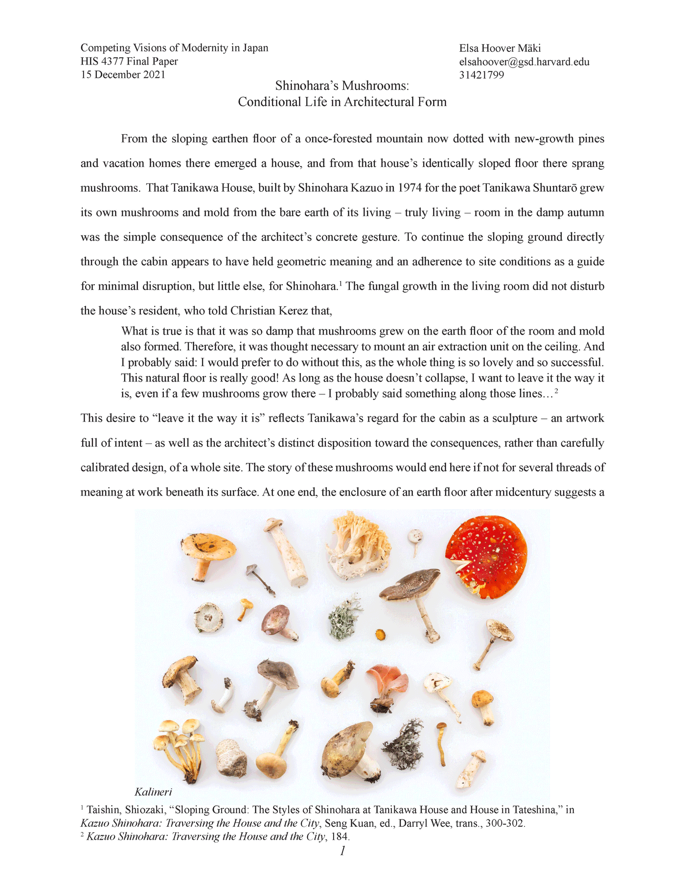 Shinohara's Mushrooms
