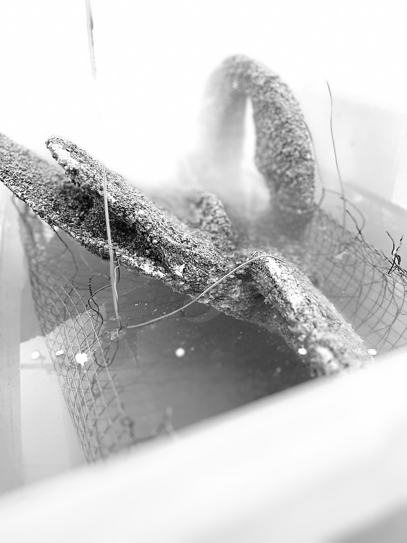 EMHMaki_final_02