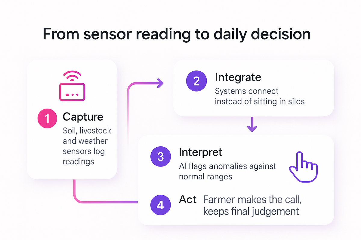 Flow diagram showing four steps from raw sensor capture to integrated data to AI interpretation to a farmer's daily decision
