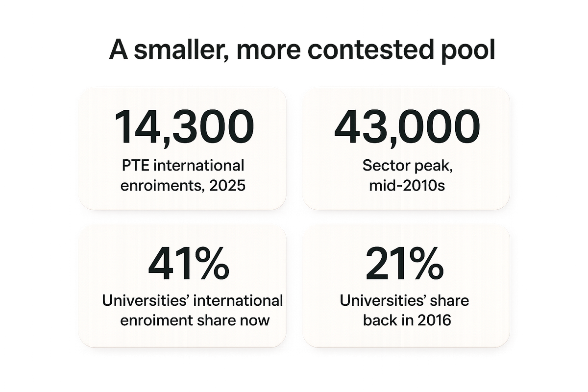 Bar-style stats comparing PTE international enrolment recovery against the sector's mid-2010s peak and universities' rising enrolment share