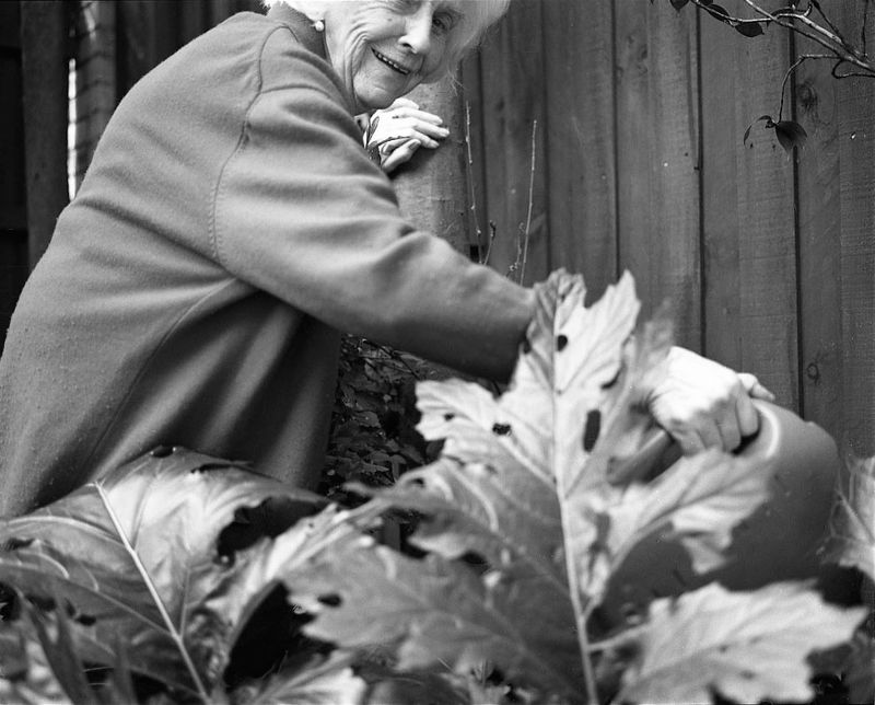 Margaret McDonald watering the garden