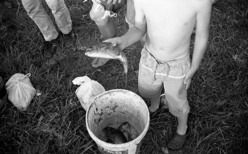 a boy holds a fish above a bucket of fresh fish