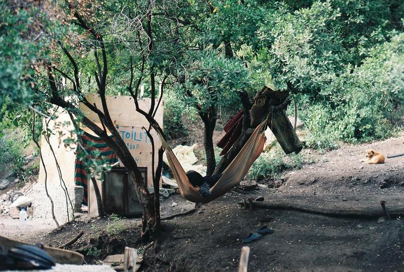 a person rests in a hammock in the bush