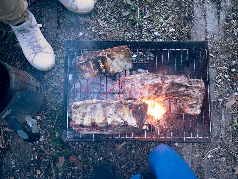 a birds eye view of meat on a coal barbecue 