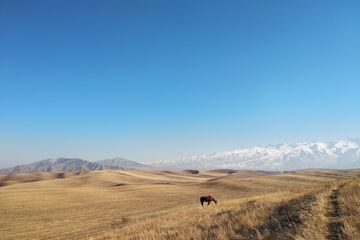 Beyond the Steppe: Unearthing the Unexpected Wonders of Aktau, Kazakhstan