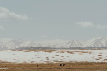 Aktau: Where the Desert Meets the Deep Blue - A Kazakh Gem You Need to Discover