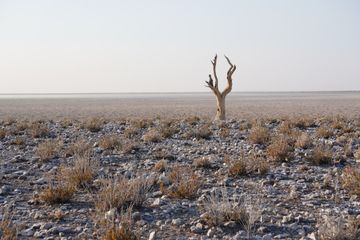 Aktau: Where the Desert Meets the Sea - A Guide to Kazakhstan's Coastal Gem