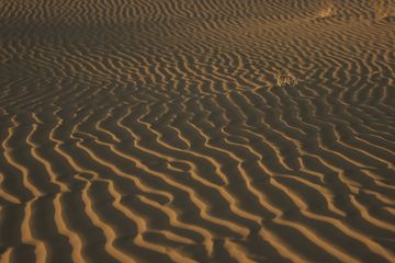Aktau's Singing Sands: Where Desert Meets Sea in Kazakhstan