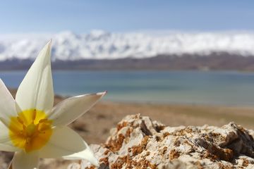 Aktau: Beyond the Steppe - Uncover the Unexpected Charms of Kazakhstan's Coastal Jewel