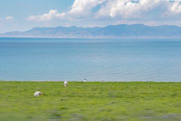 Aktau: Where the Desert Embraces the Caspian Sea - Discover the Surreal Beauty of Kazakhstan's Coastal Gem