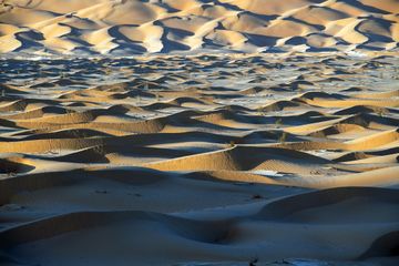Aktau's Singing Sands: A Desert Symphony by the Caspian Sea