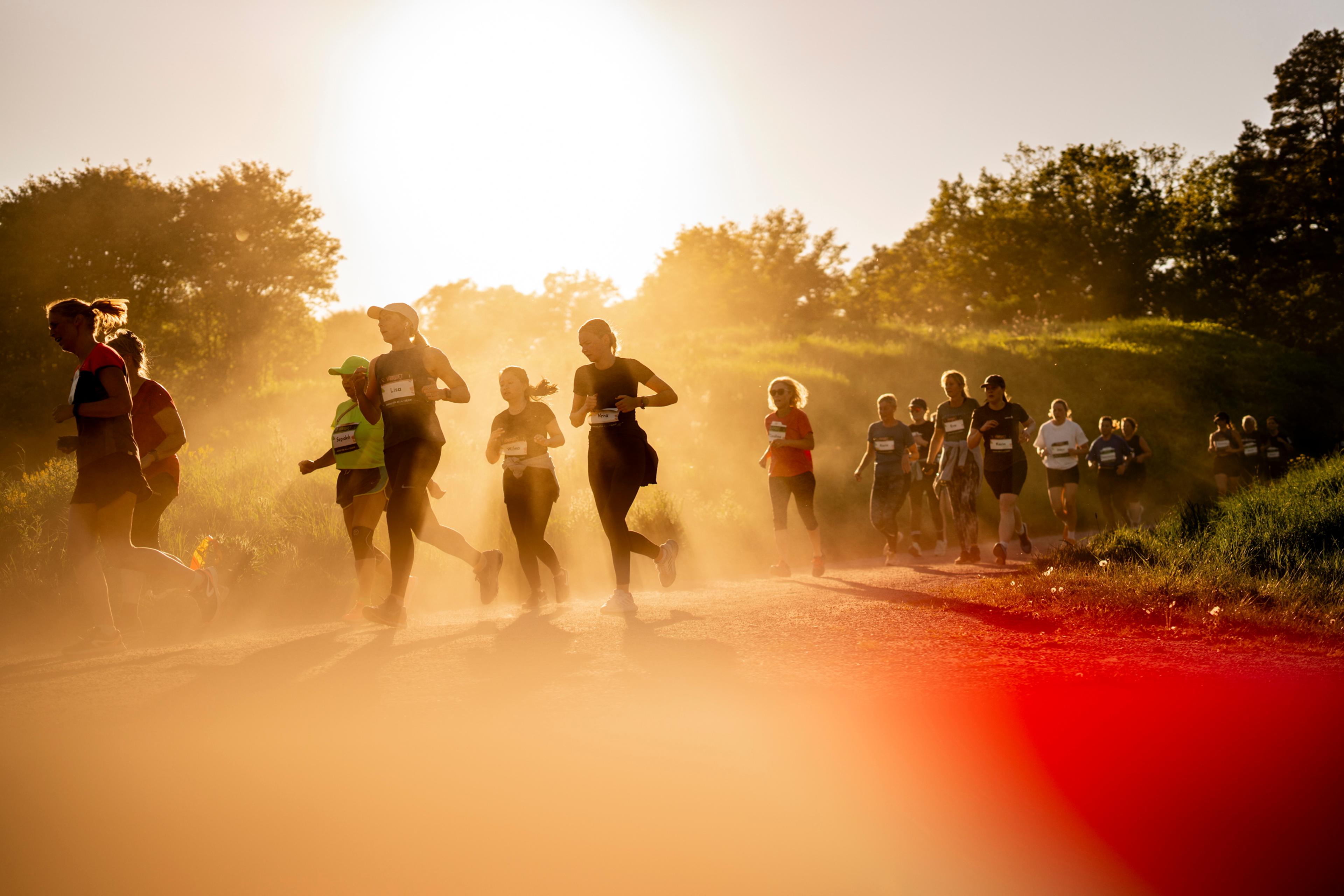 Runners on a dusty trail, backlit by a golden sunset with glowing dust.
