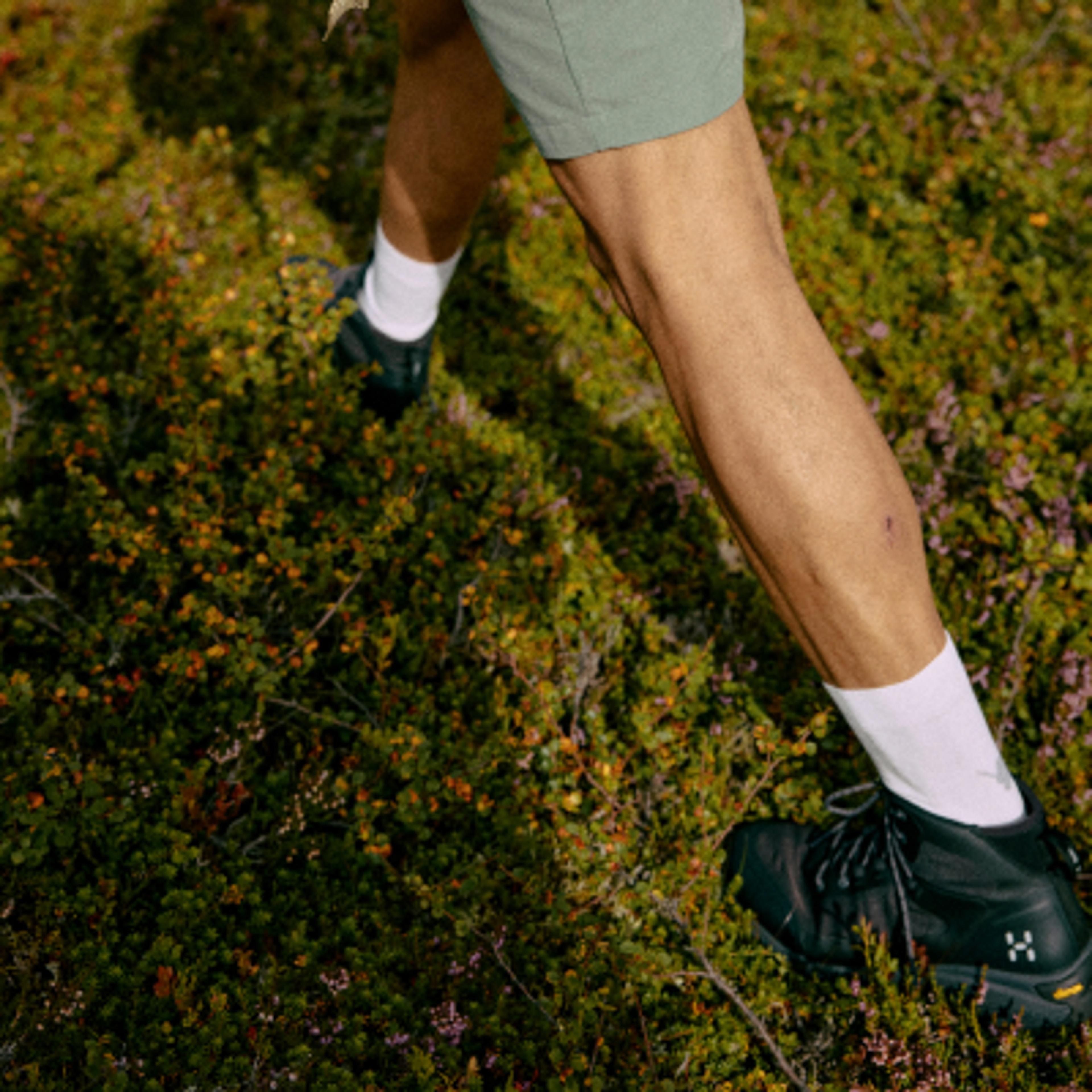 Close-up of a person's legs in green shorts, white socks, and black hiking shoes stepping on dense green ground cover.