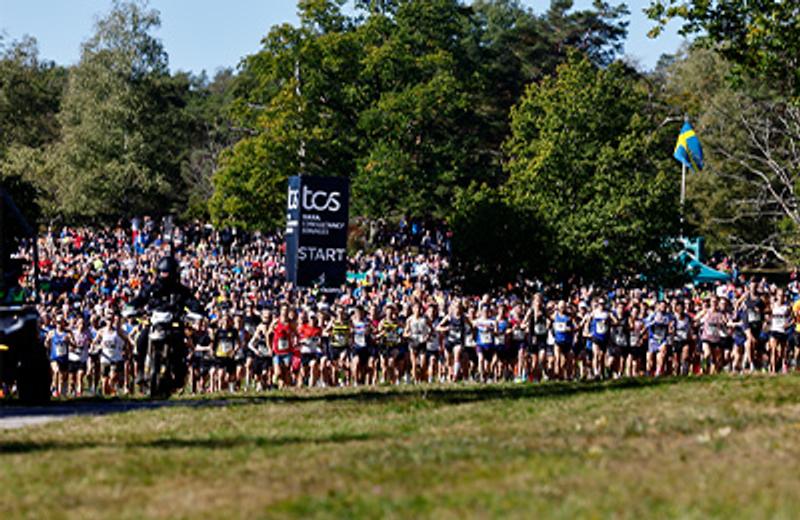 a large group of people are running a race in a park .