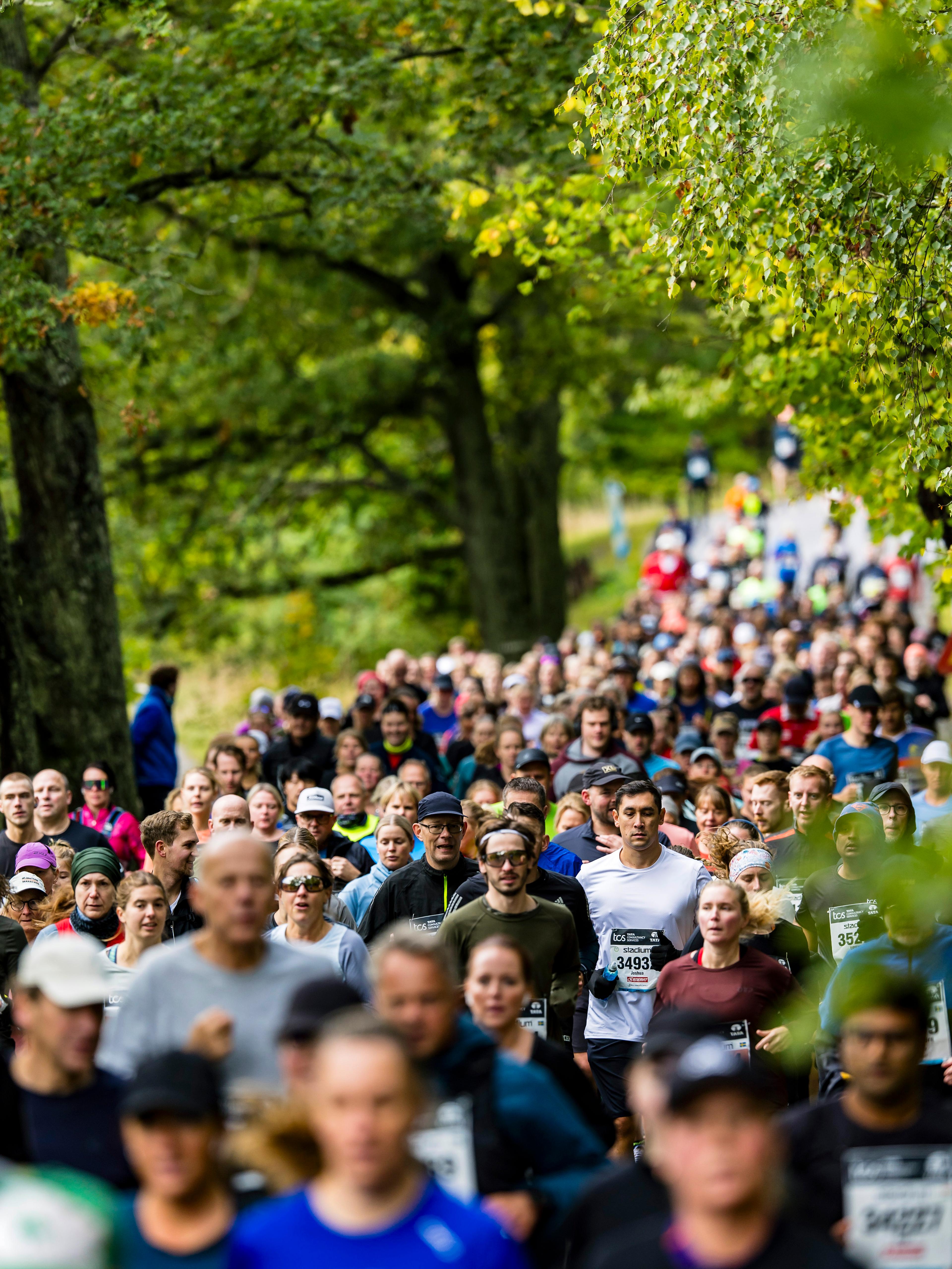 a crowd of people are running in a race and one of them has the number 24831 on his shirt
