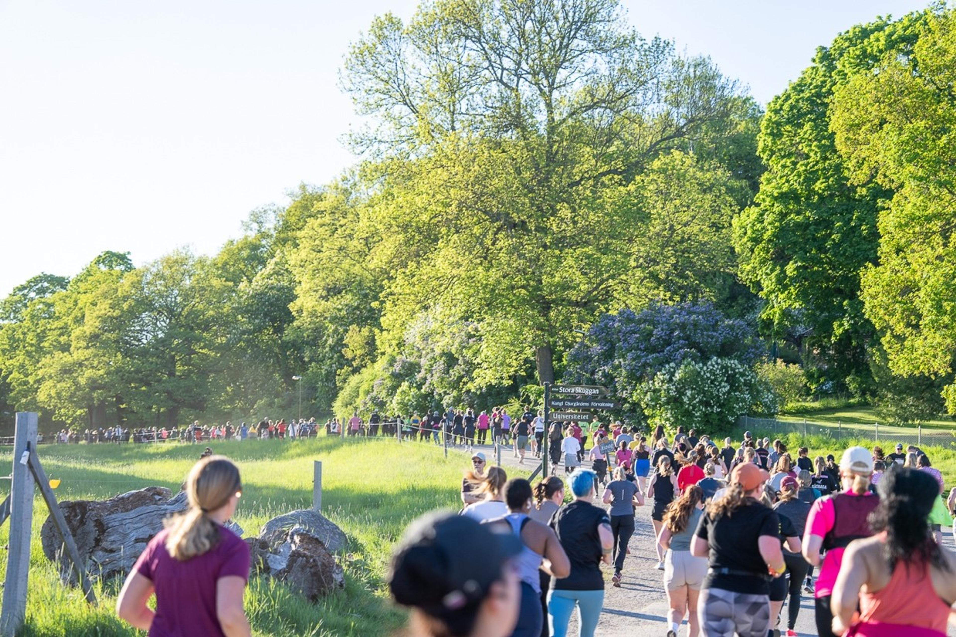 A large group of people running on a path surrounded by green trees and grass.