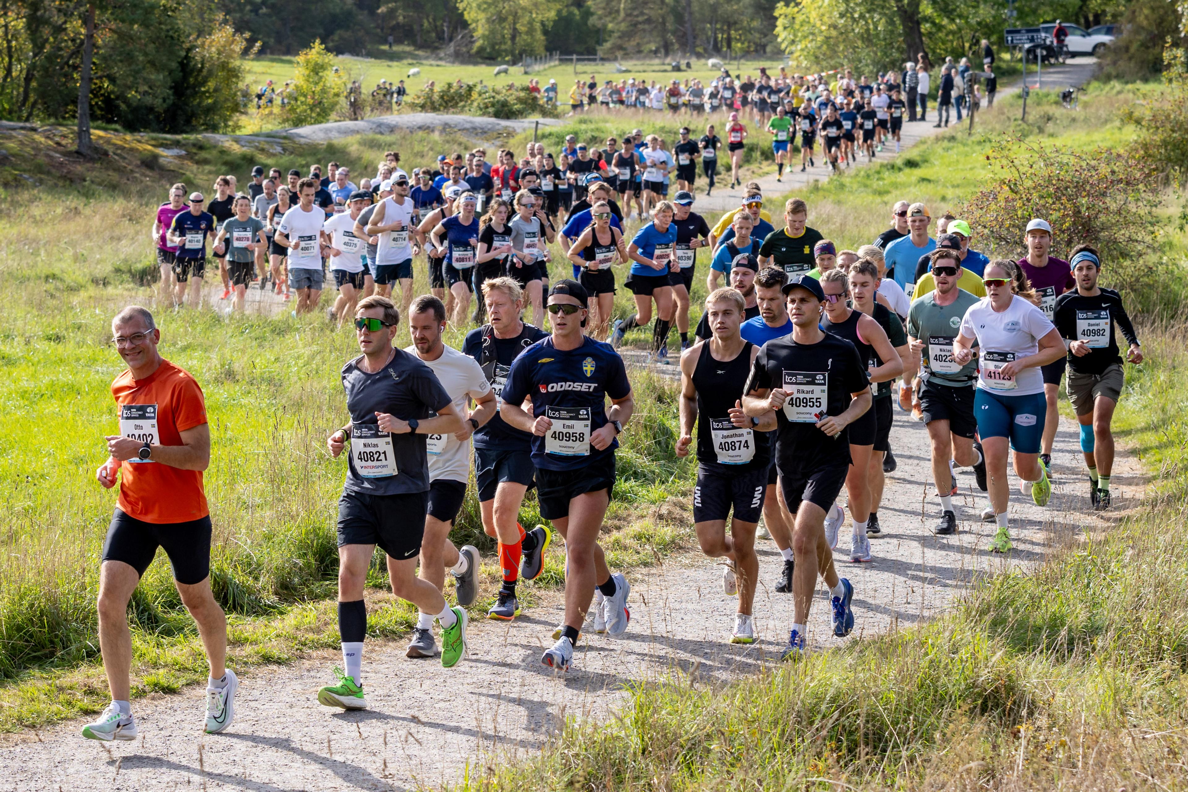 a large group of people are running a marathon on a dirt road .