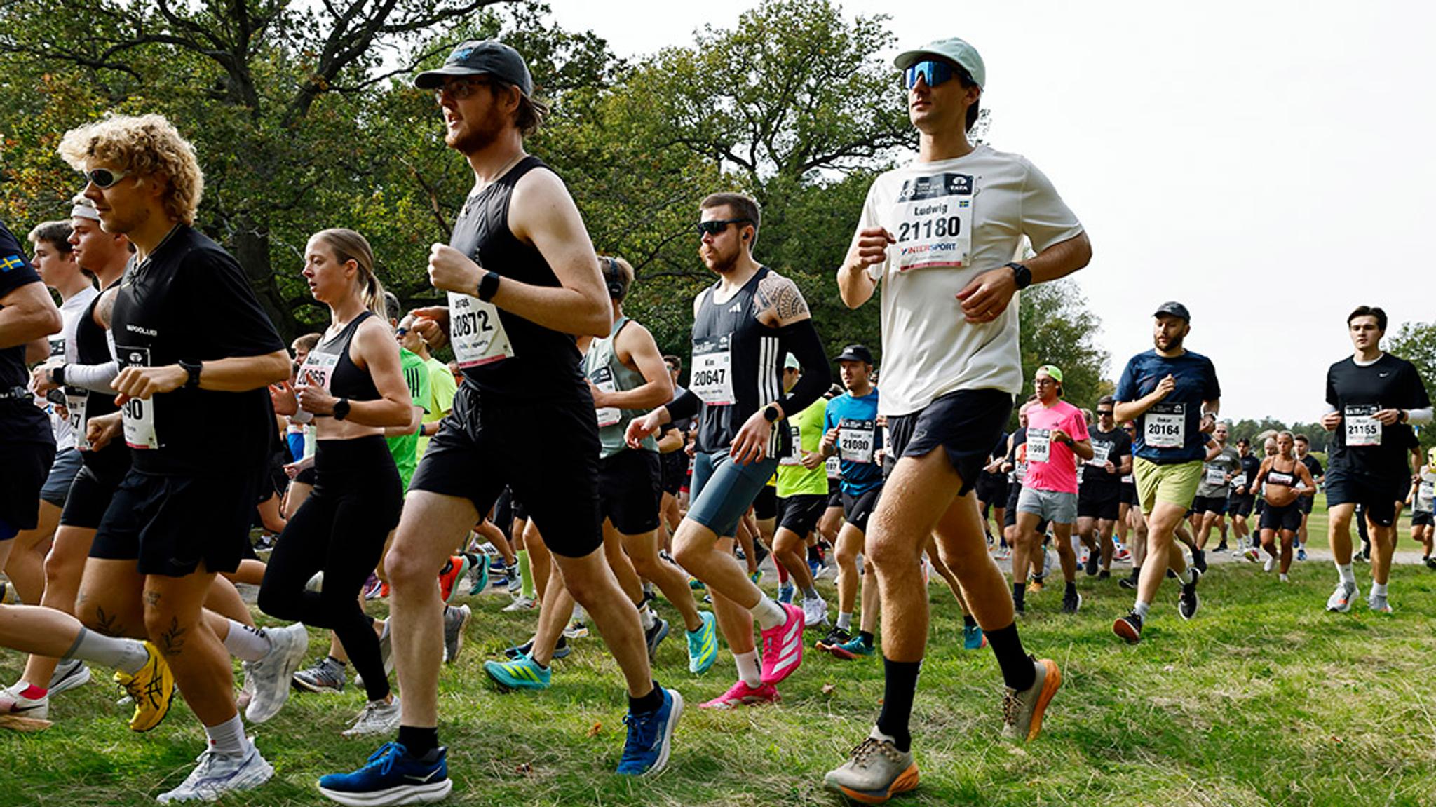 A large group of people running an outdoor race on a grassy path.
