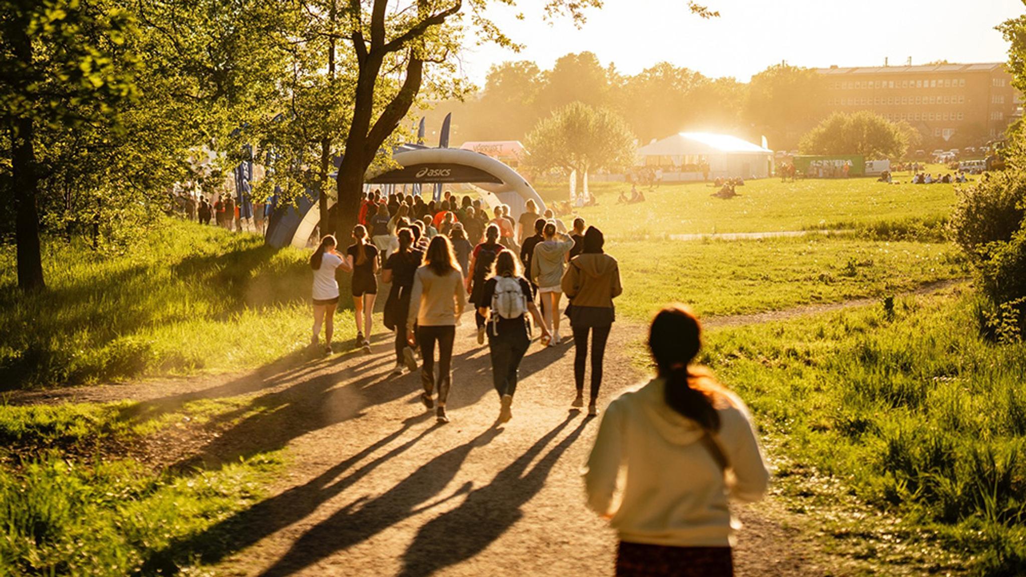 A group of people walk on a sunlit dirt path towards an event archway in a park.