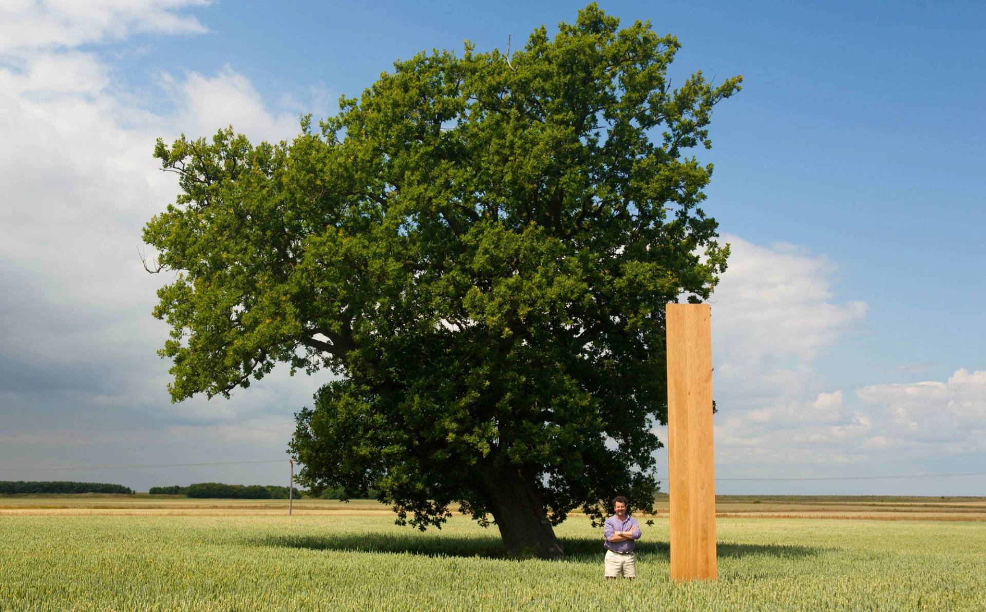 Man stood with plank of oak wood in front of large oak tree in green field on sunny day