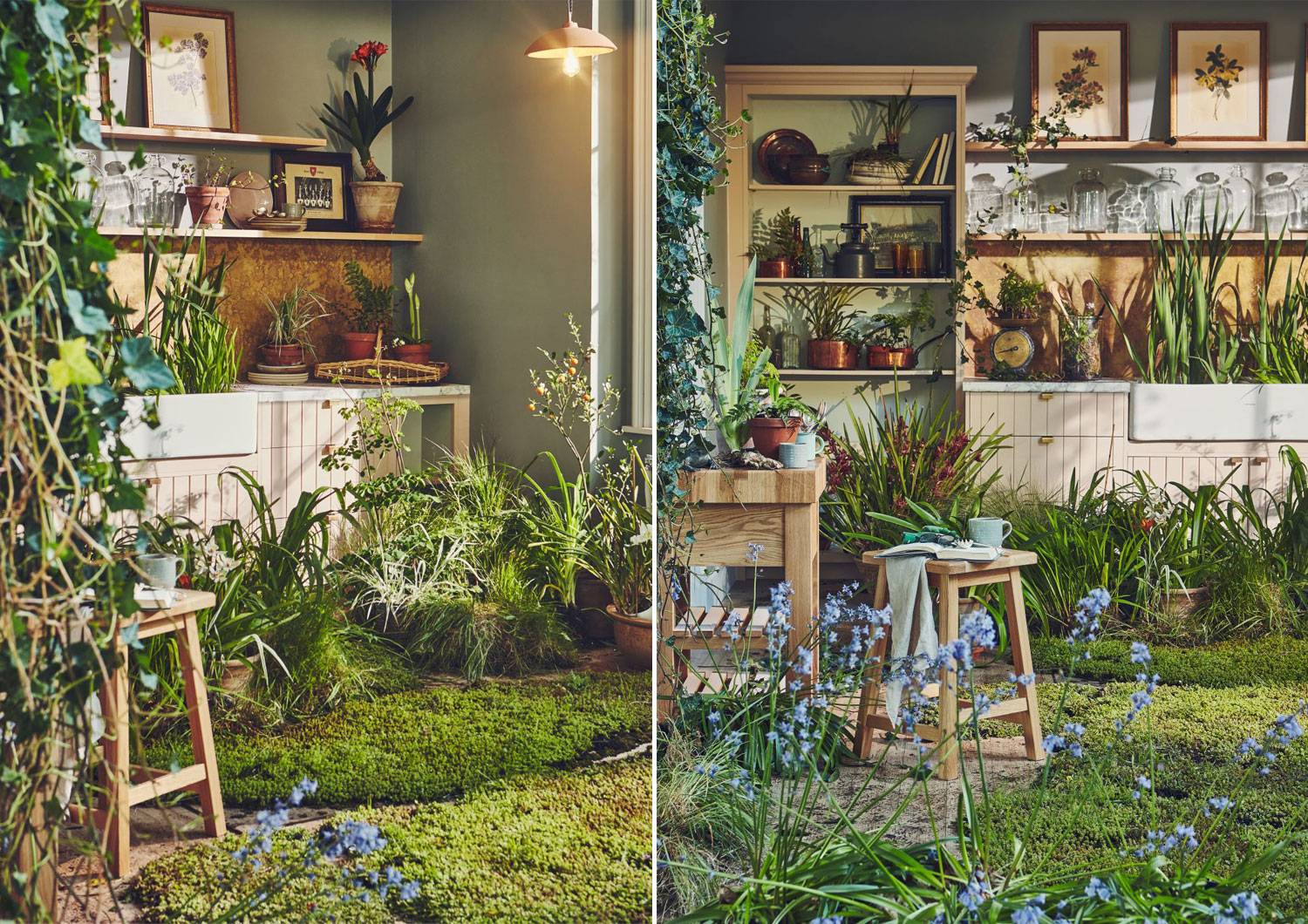 PlantLifeSpread