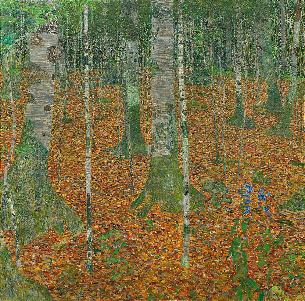birch-forest