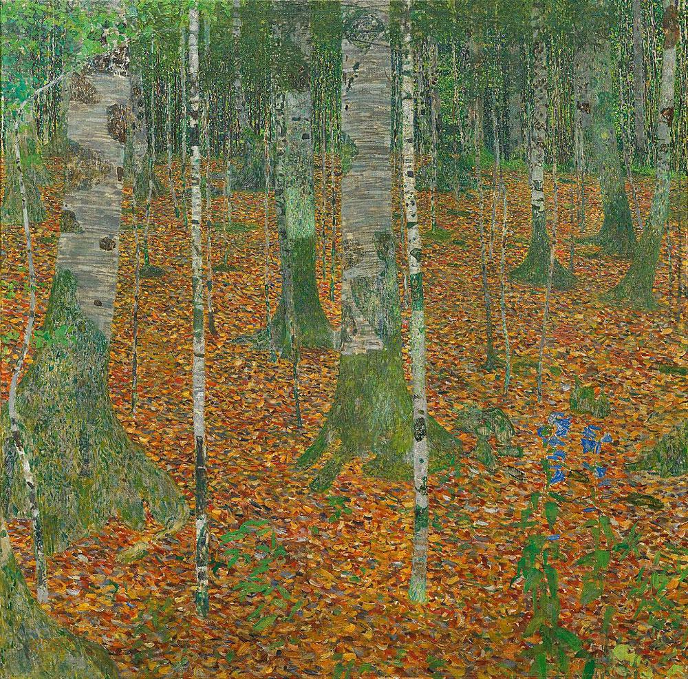 birch-forest