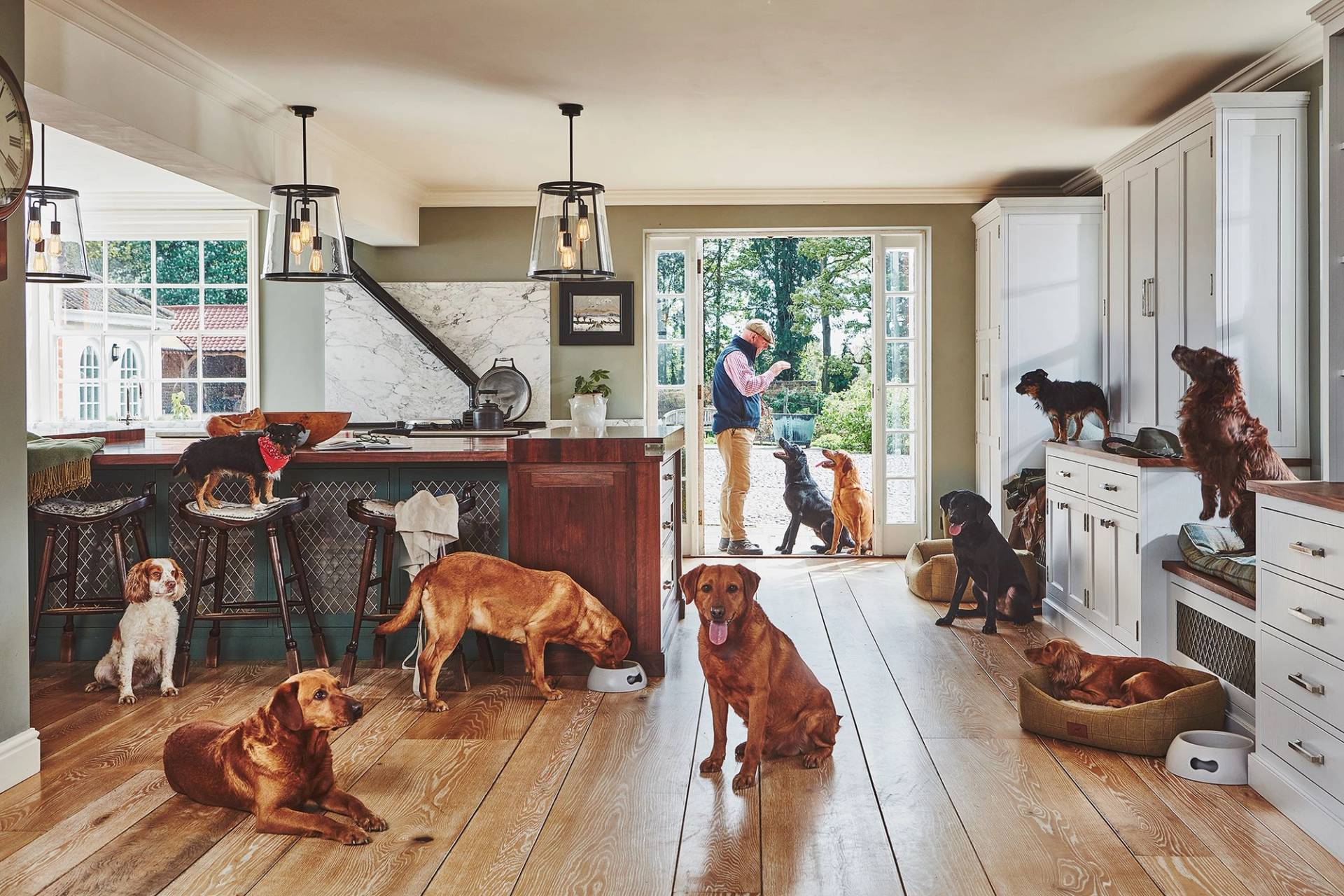 Large country-style kitchen with green and white cabinetry filled with many dogs. The scene shows a lifestyle-focused kitchen design with durable wooden flooring and an open-plan layout leading to a garden.